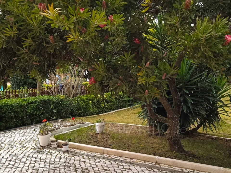 Moradia T3 para Venda em São João das Lampas e Terrugem Foto 58