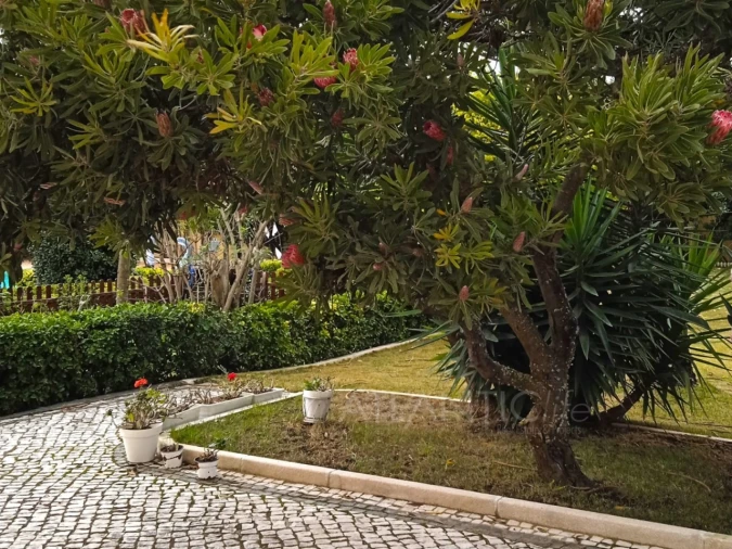 Moradia T3 para Venda em São João das Lampas e Terrugem Foto 58