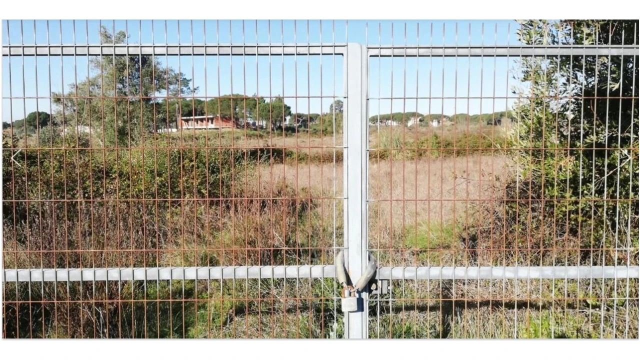 Terreno Comércio / Armazém para Venda em Santa Maria e São Miguel, São Martinho, São Pedro Penaferrim Foto 10