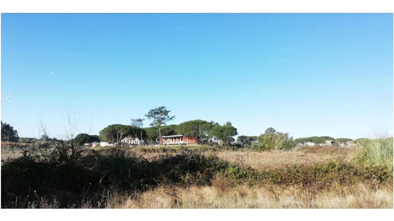 Terreno Comércio / Armazém para Venda em Santa Maria e São Miguel, São Martinho, São Pedro Penaferrim Foto 2