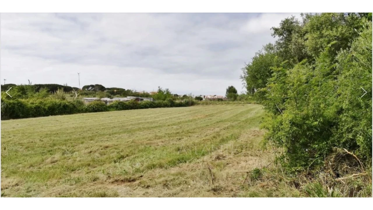 Terreno Comércio / Armazém para Venda em Santa Maria e São Miguel, São Martinho, São Pedro Penaferrim Foto 6