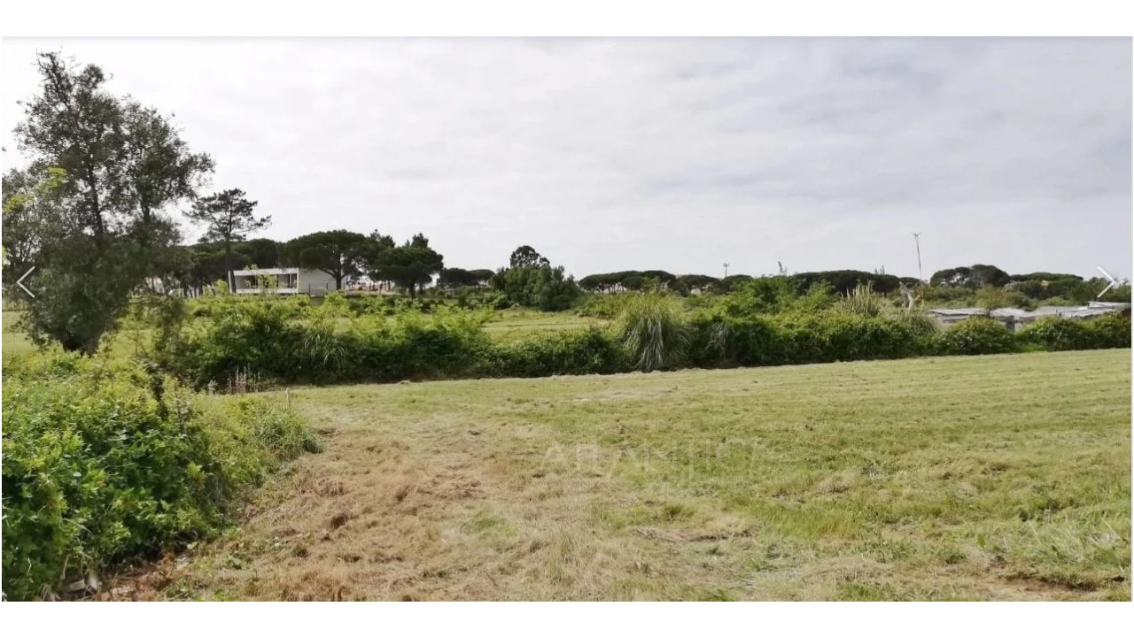 Terreno Comércio / Armazém para Venda em Santa Maria e São Miguel, São Martinho, São Pedro Penaferrim Foto 7