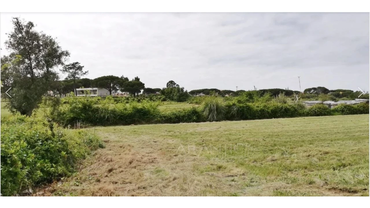 Terreno Comércio / Armazém para Venda em Santa Maria e São Miguel, São Martinho, São Pedro Penaferrim Foto 8