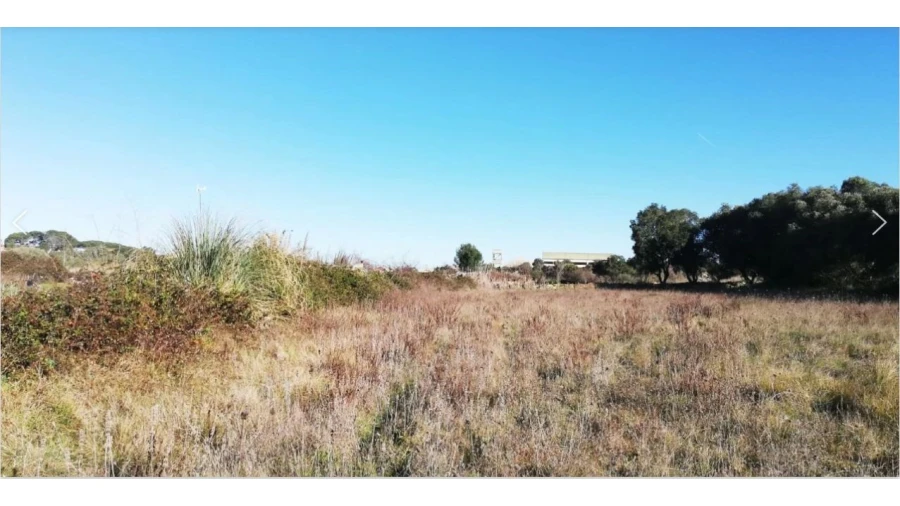 Terreno Comércio / Armazém para Venda em Santa Maria e São Miguel, São Martinho, São Pedro Penaferrim Foto 1