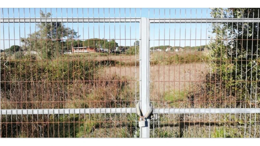 Terreno Comércio / Armazém para Venda em Santa Maria e São Miguel, São Martinho, São Pedro Penaferrim Foto 10