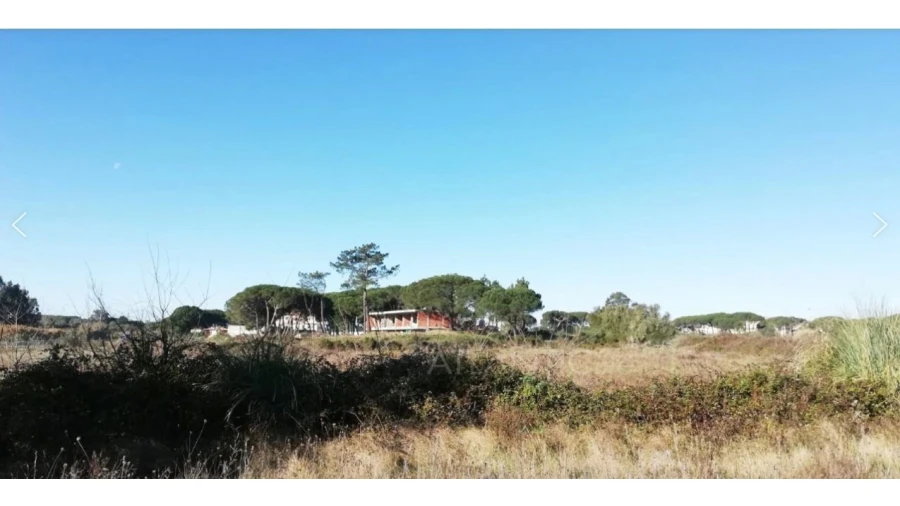 Terreno Comércio / Armazém para Venda em Santa Maria e São Miguel, São Martinho, São Pedro Penaferrim Foto 2