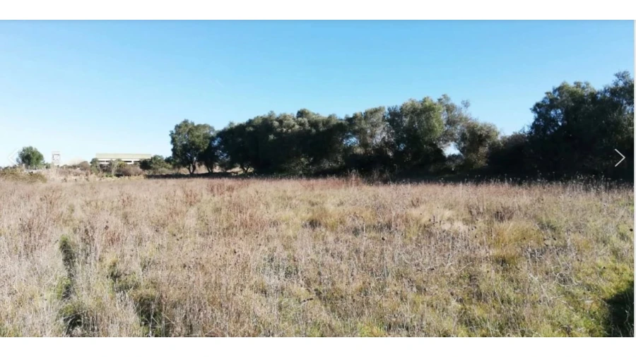 Terreno Comércio / Armazém para Venda em Santa Maria e São Miguel, São Martinho, São Pedro Penaferrim Foto 3