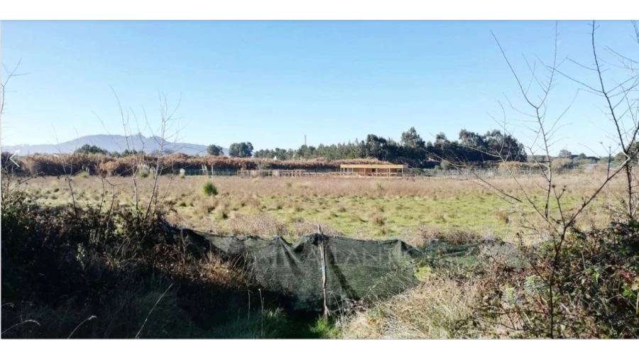 Terreno Comércio / Armazém para Venda em Santa Maria e São Miguel, São Martinho, São Pedro Penaferrim Foto 4