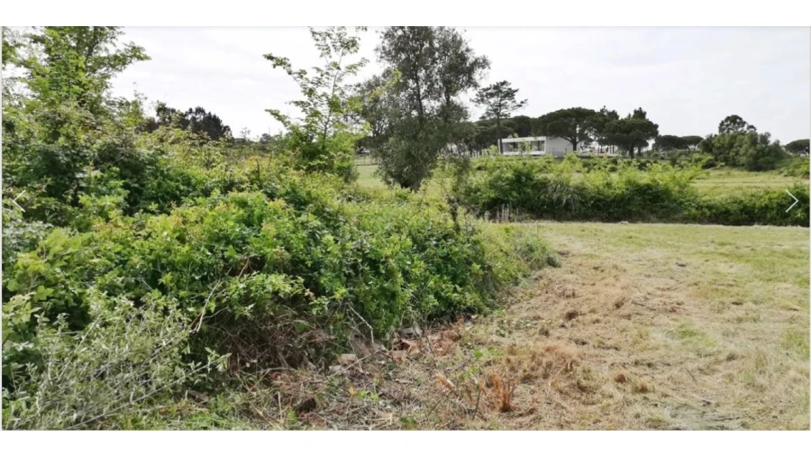 Terreno Comércio / Armazém para Venda em Santa Maria e São Miguel, São Martinho, São Pedro Penaferrim Foto 5