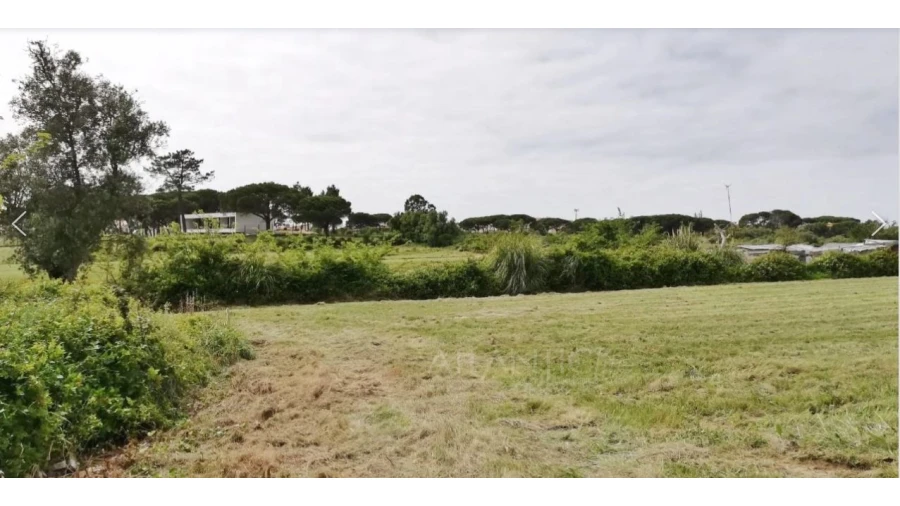 Terreno Comércio / Armazém para Venda em Santa Maria e São Miguel, São Martinho, São Pedro Penaferrim Foto 7