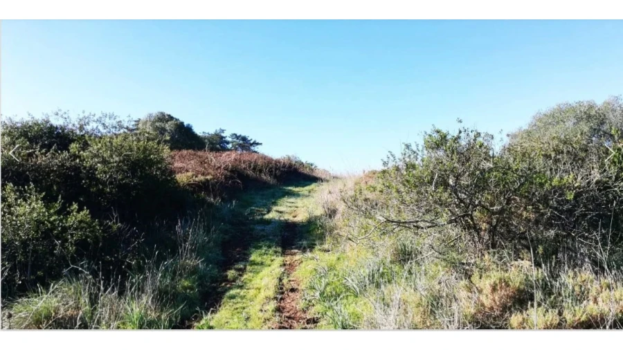 Terreno Comércio / Armazém para Venda em Santa Maria e São Miguel, São Martinho, São Pedro Penaferrim Foto 9