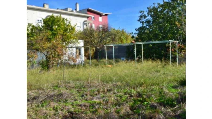 Terreno para Venda em Ajuda Foto 11