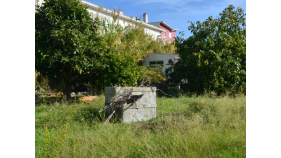 Terreno para Venda em Ajuda Foto 12