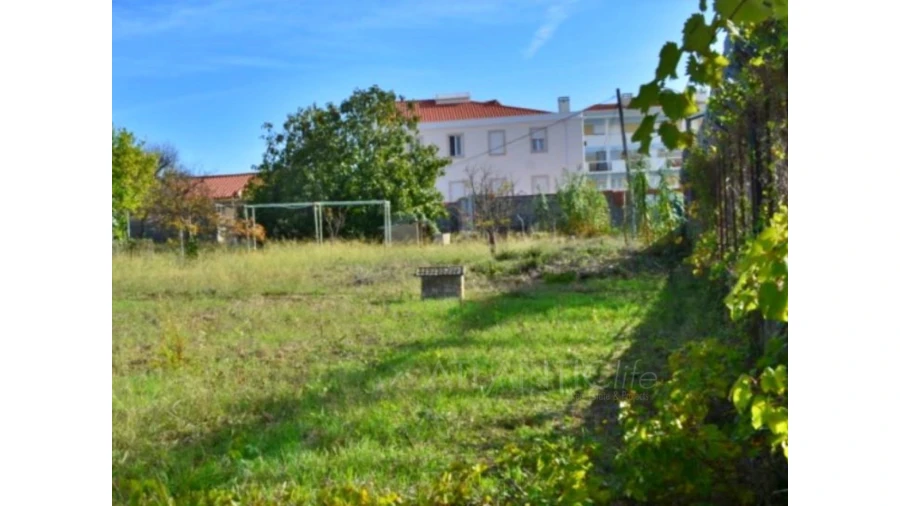 Terreno para Venda em Ajuda Foto 13