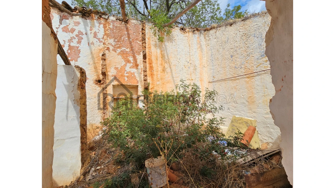 Terreno para Venda em Alte Foto 5