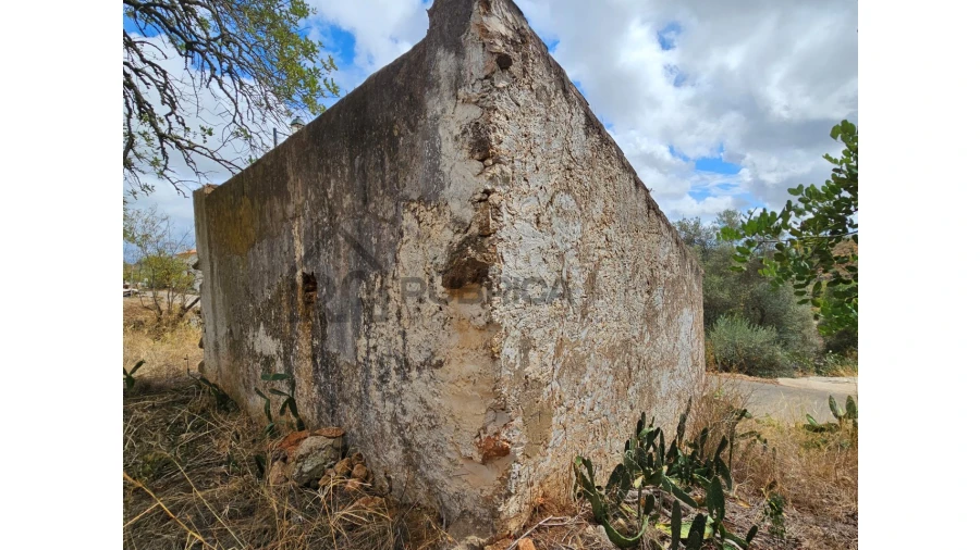 Terreno para Venda em Alte Foto 3