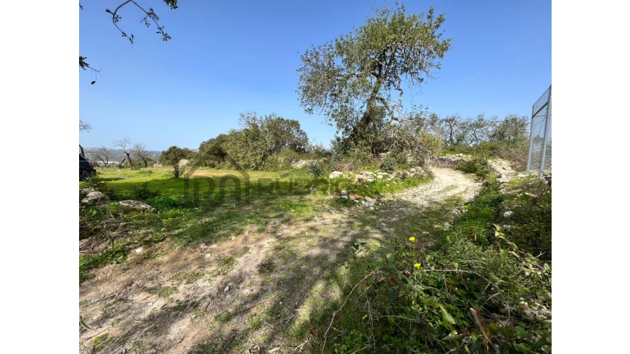 Terreno Agricola ou Rústico para Venda em Loule (São Clemente) Foto 3