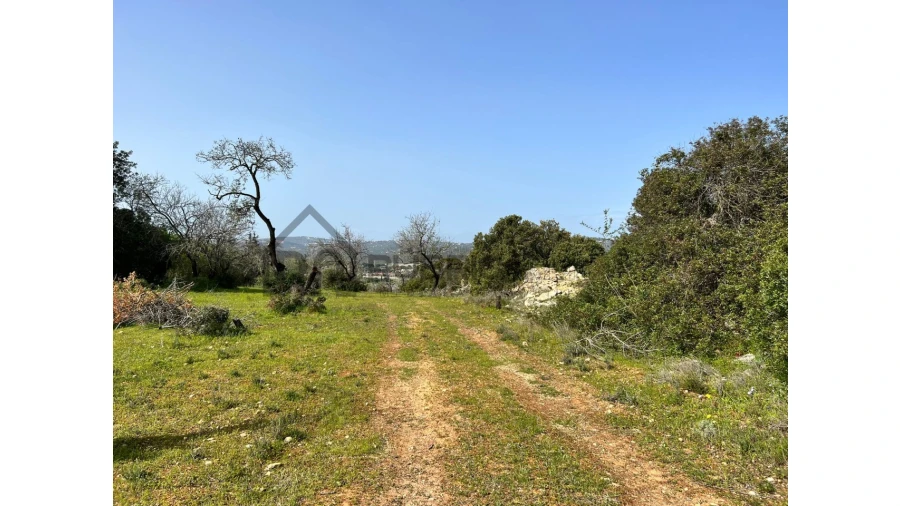 Terreno Agricola ou Rústico para Venda em Loule (São Clemente) Foto 6