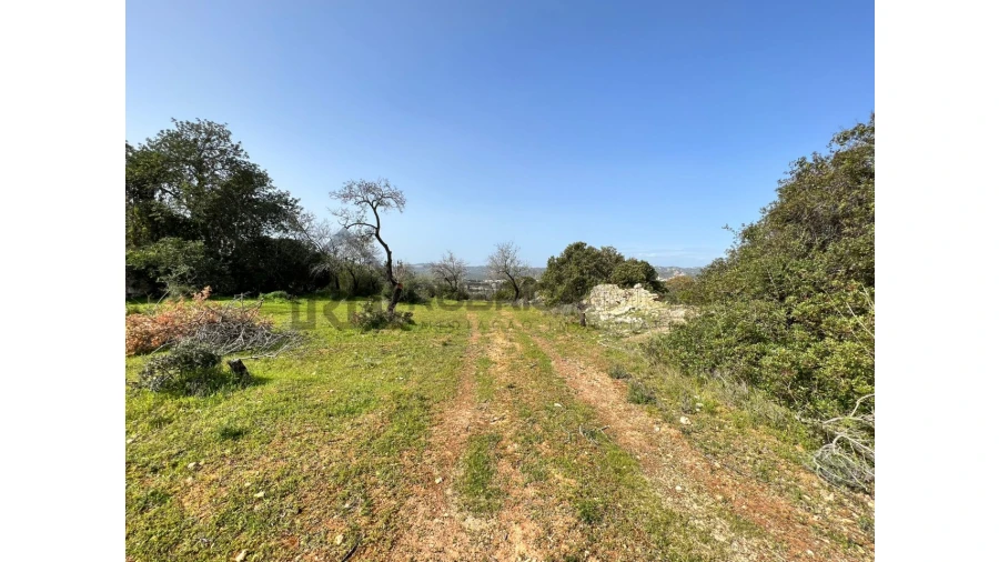 Terreno Agricola ou Rústico para Venda em Loule (São Clemente) Foto 8