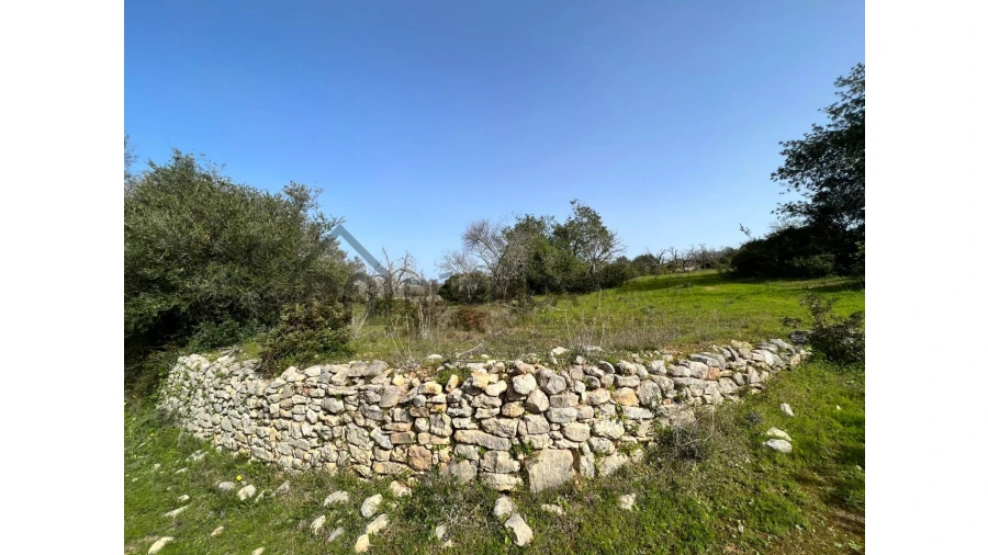 Terreno Agricola ou Rústico para Venda em Loule (São Clemente) Foto 10