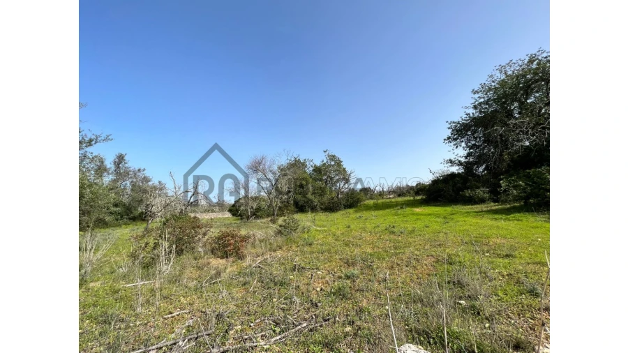 Terreno Agricola ou Rústico para Venda em Loule (São Clemente) Foto 11