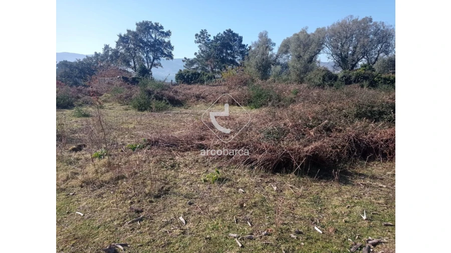 Quinta T4 para Venda em Moreira Foto 9