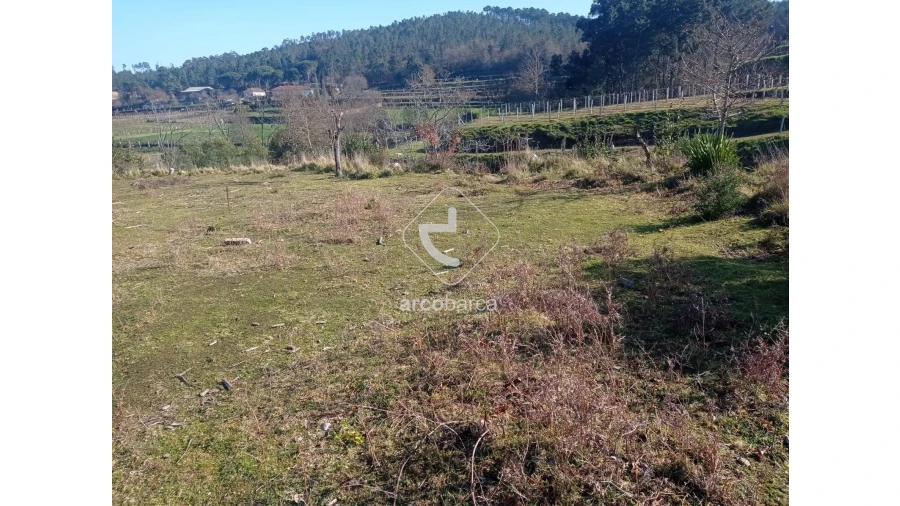 Quinta T4 para Venda em Moreira Foto 10