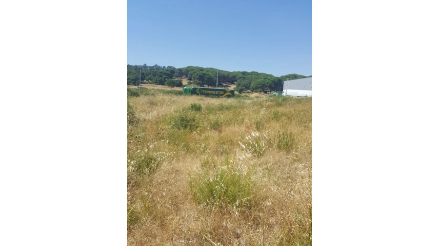 Terreno para Venda em Vila Nova da Rainha Foto 3