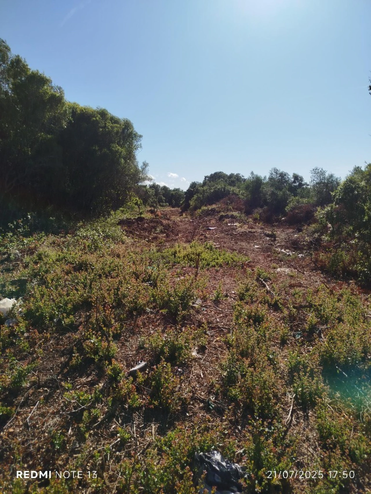 Terreno para Venda em Rio de Mouro Foto 2