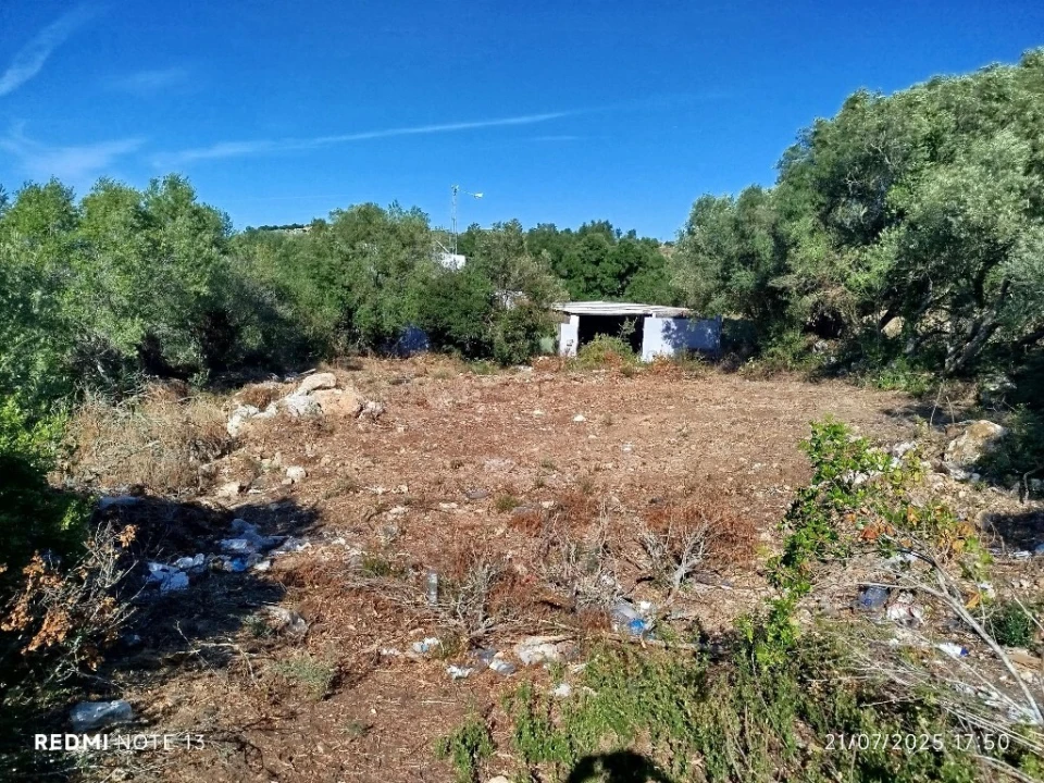 Terreno para Venda em Rio de Mouro Foto 1