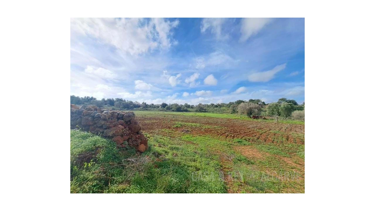Terreno para Venda em São Bartolomeu de Messines Foto 7
