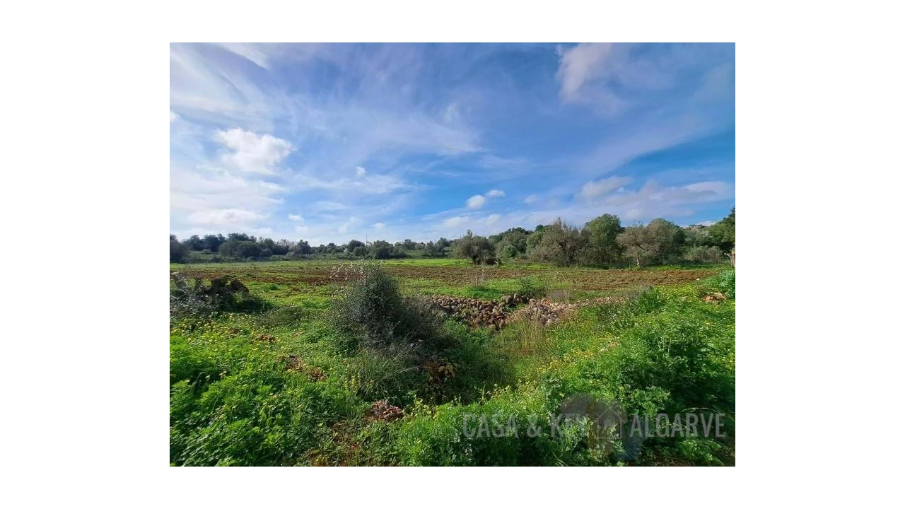 Terreno para Venda em São Bartolomeu de Messines Foto 19
