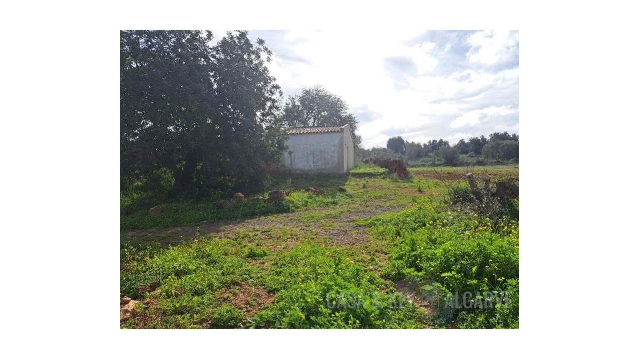 Terreno para Venda em São Bartolomeu de Messines Foto 1
