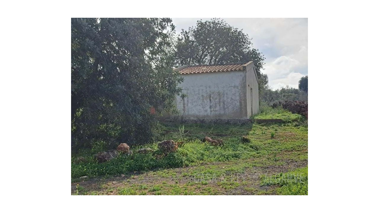Terreno para Venda em São Bartolomeu de Messines Foto 17