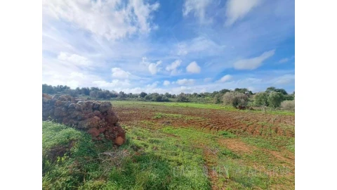 Terreno para Venda em São Bartolomeu de Messines