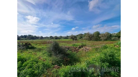 Terreno para Venda em São Bartolomeu de Messines