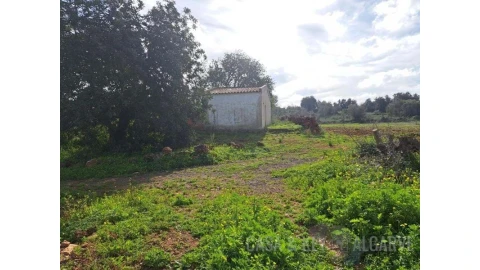 Terreno para Venda em São Bartolomeu de Messines