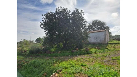 Terreno para Venda em São Bartolomeu de Messines