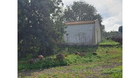 Terreno para Venda em São Bartolomeu de Messines