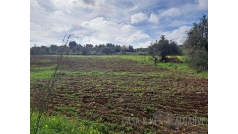 Terreno para Venda em São Bartolomeu de Messines