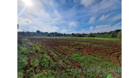 Terreno para Venda em São Bartolomeu de Messines