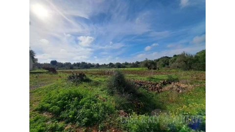Terreno para Venda em São Bartolomeu de Messines