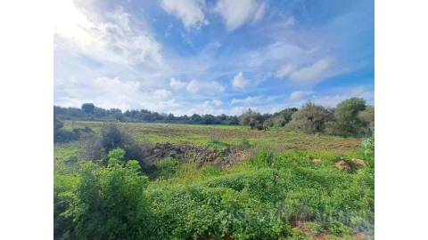 Terreno para Venda em São Bartolomeu de Messines