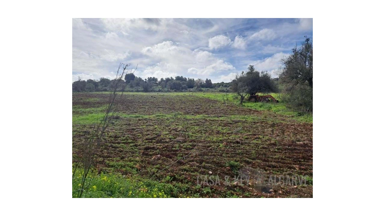 Terreno para Venda em São Bartolomeu de Messines Foto 2