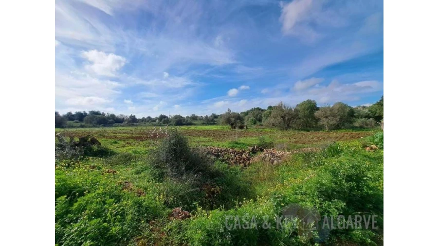 Terreno para Venda em São Bartolomeu de Messines Foto 19