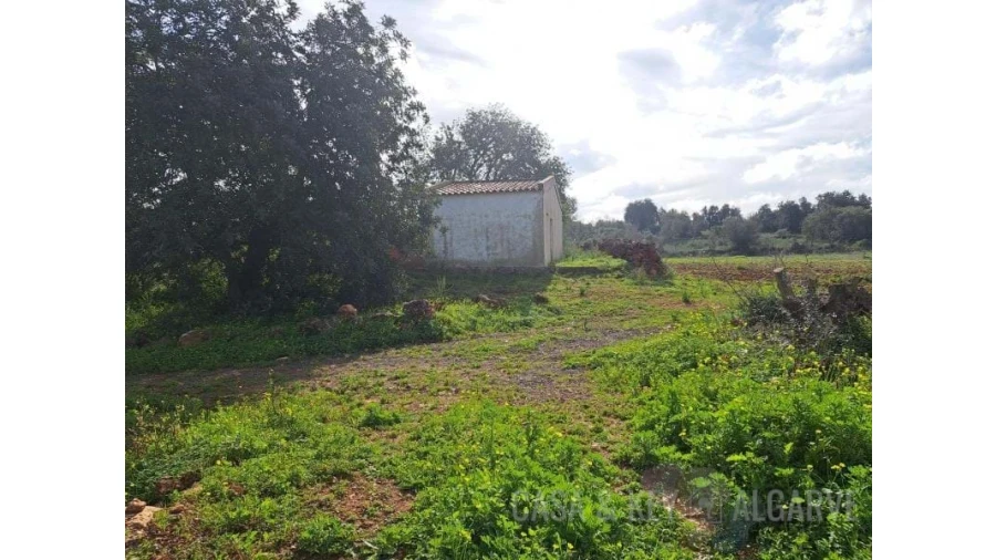 Terreno para Venda em São Bartolomeu de Messines