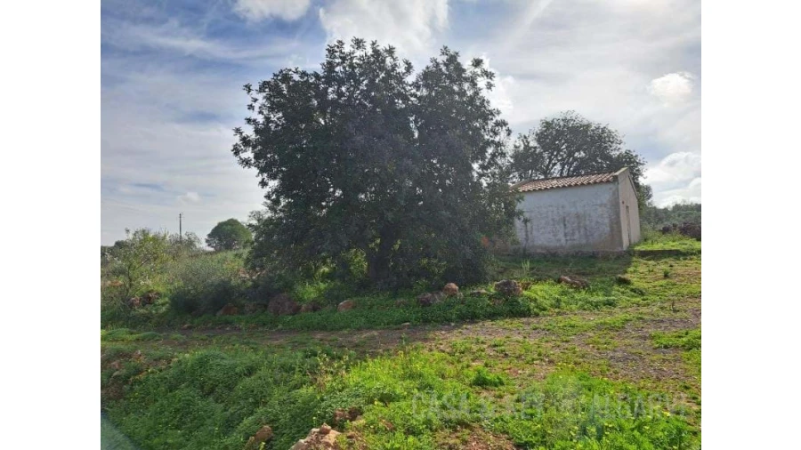 Terreno para Venda em São Bartolomeu de Messines Foto 20
