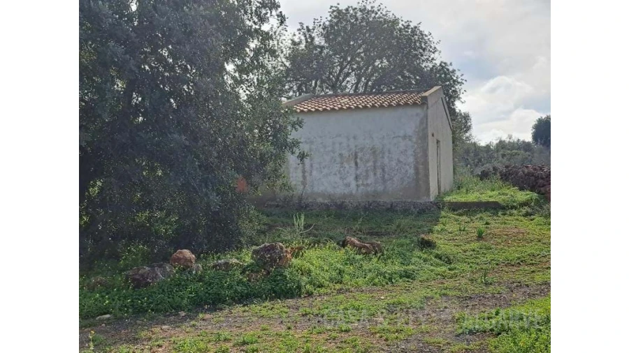 Terreno para Venda em São Bartolomeu de Messines Foto 17