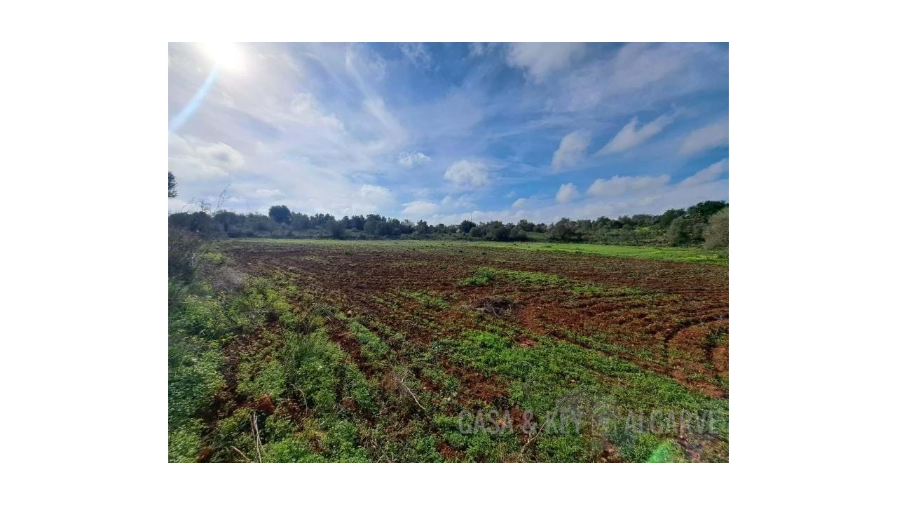 Terreno para Venda em São Bartolomeu de Messines Foto 8