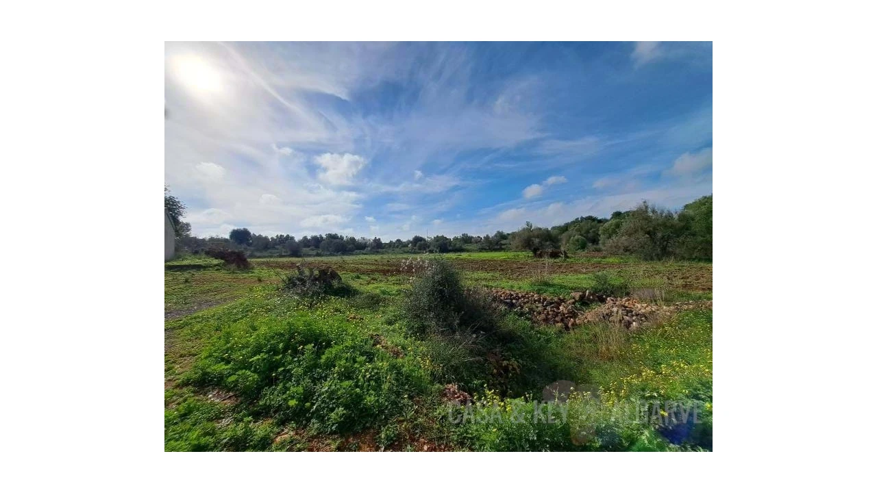Terreno para Venda em São Bartolomeu de Messines Foto 18